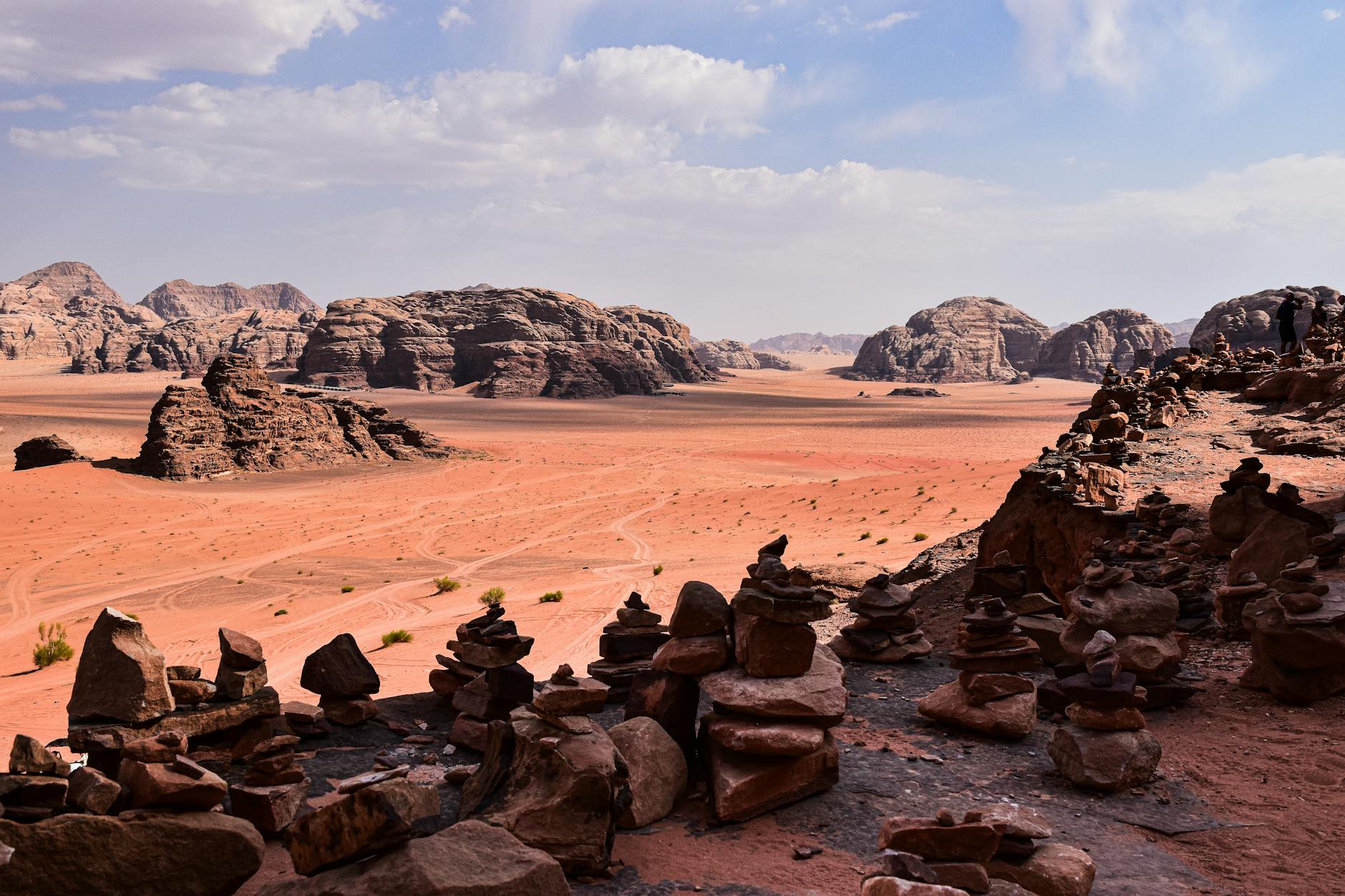 Winter Rains Bring Green to Jordan’s Wadi Rum Desert