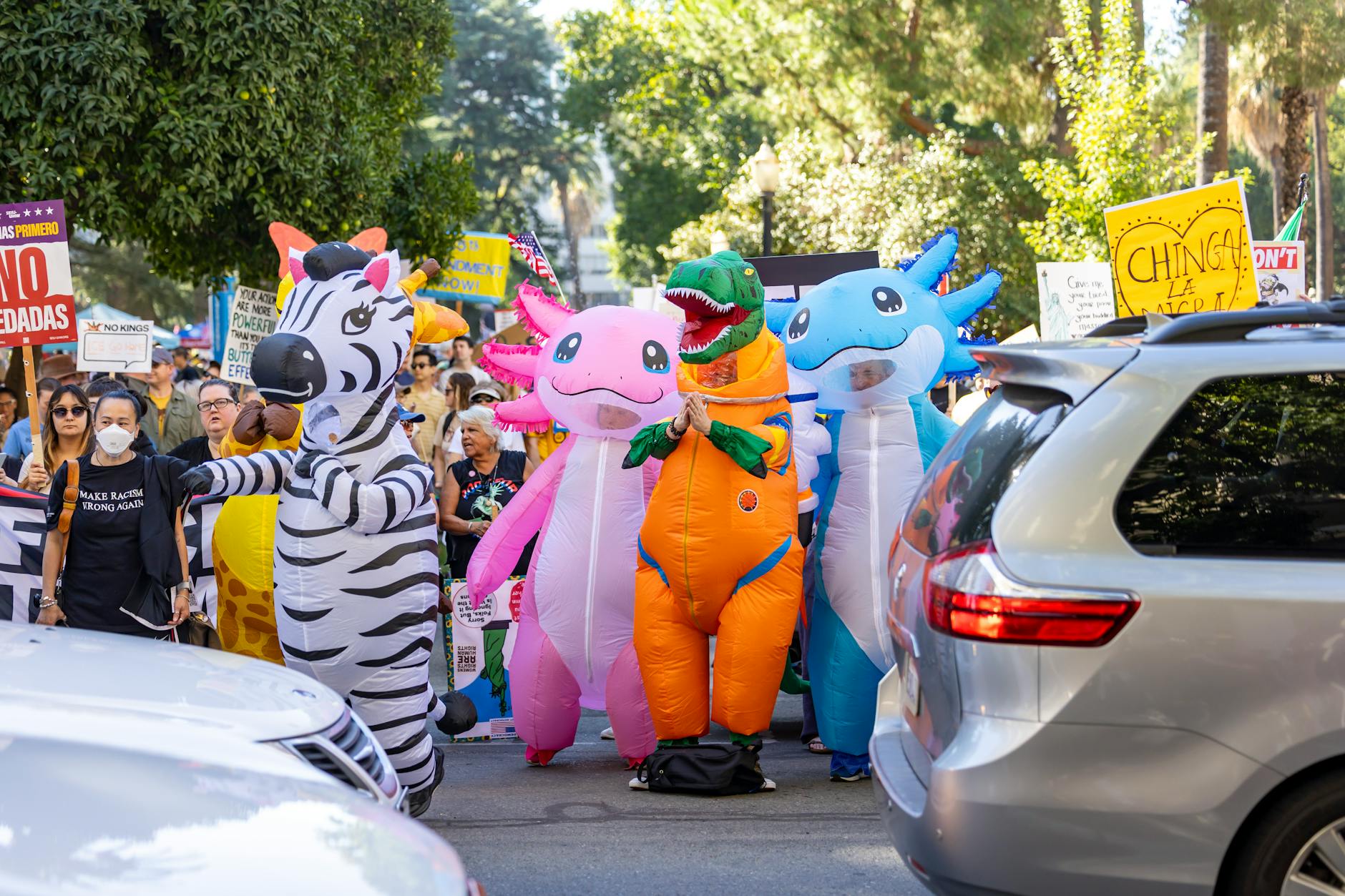 Delusional Dems’ Dancing Pet Frogs are Antifa Thugs